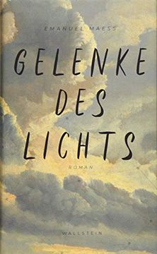 portada Gelenke des Lichts: Roman (in German)