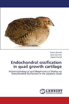 portada Endochondral Ossification in Quail Growth Cartilage