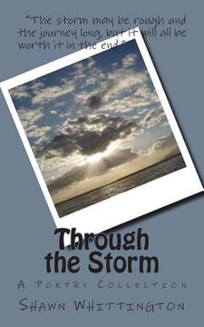 portada Through the Storm: A Poetry Collection (in English)