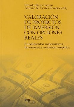 portada valoracion proyectos de inversion opciones reales