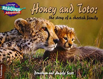 portada Honey and Toto: The Story of a Cheetah Family. Pathfinders. Cambridge Reading Adventures (en Inglés)