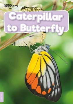 portada Caterpillar to Butterfly (Booklife Non-Fiction Readers) (in English)