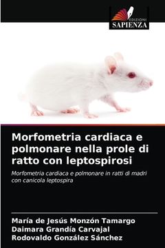 portada Morfometria cardiaca e polmonare nella prole di ratto con leptospirosi (en Italiano)