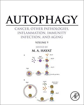 portada Autophagy: Cancer, Other Pathologies, Inflammation, Immunity, Infection, and Aging: Volume 9: Human Diseases and Autophagosome (en Inglés)