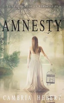 portada Amnesty: Amnesia duet book 2 (en Inglés)