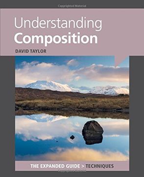 portada Understanding Composition (Expanded Guides - Techniques)
