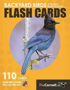 portada Backyard Birds Flash Cards - Western North America (Cornell lab of Ornithology) (en Inglés)