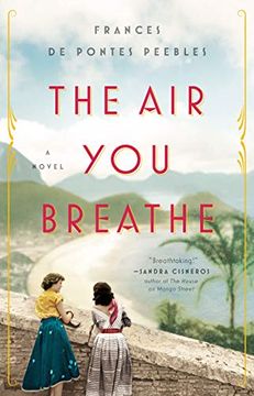 portada The air you Breathe: A Novel (in English)