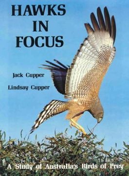 portada Hawks in Focus: A Study of Australia's Birds of Prey (in English)