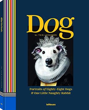 portada Dog: Portraits of Eighty-Eight Dogs and one Little Naughty Rabbit (Photographer) (in English)
