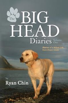 portada The Big Head Diaries, Volume 1: Stories of a Yellow Lab from Down Under (en Inglés)