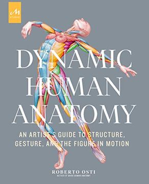 portada Dynamic Human Anatomy: An Artist'S Guide to Structure, Gesture, and the Figure in Motion (en Inglés)