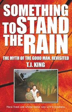 portada Something to Stand the Rain: The Myth of the Good Man, Revisited (en Inglés)