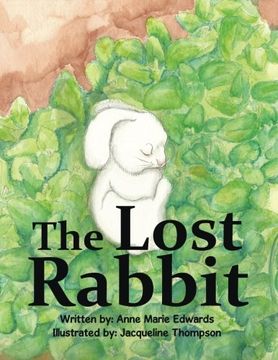 portada The Lost Rabbit