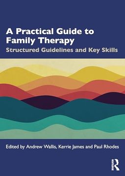 portada A Practical Guide to Family Therapy: Structured Guidelines and key Skills (in English)