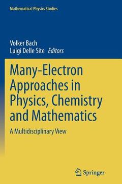 portada Many-Electron Approaches in Physics, Chemistry and Mathematics: A Multidisciplinary View (in English)