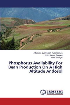 portada Phosphorus Availability For Bean Production On A High Altitude Andosol