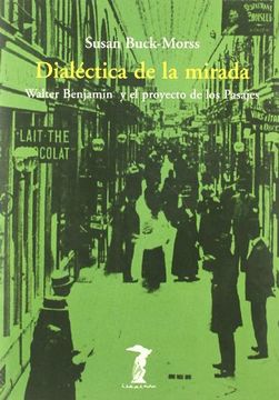 portada Dialetica de la mirada (in Spanish)