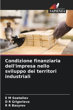 portada Condizione finanziaria dell'impresa nello sviluppo dei territori industriali (in Italian)