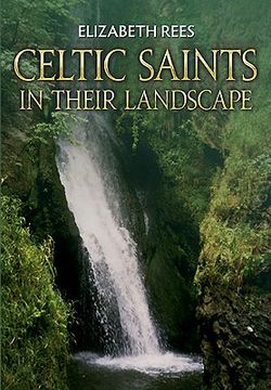portada Celtic Saints in Their Landscape (en Inglés)