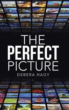 portada The Perfect Picture (en Inglés)