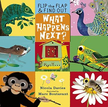 portada What Happens Next? (Flip the Flap & Find Out) (in English)