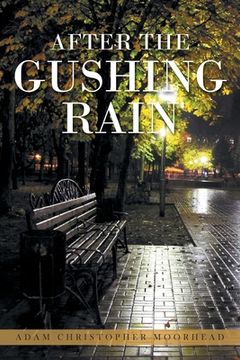 portada After the Gushing Rain 