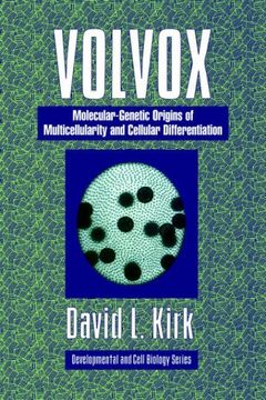 portada Volvox: Molecular Genetic Origins: A Search for the Molecular and Genetic Origins of Multicellularity and Cellular Differentiation (Developmental and Cell Biology Series) (en Inglés)