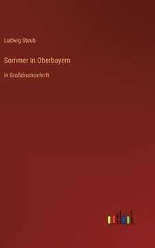 portada Sommer in Oberbayern: in Großdruckschrift (en Alemán)