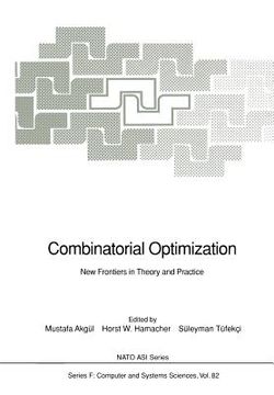 portada combinatorial optimization: new frontiers in theory and practice