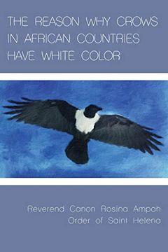 portada The Reason why Crows in African Countries Have White Color 