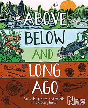 portada Above, Below and Long Ago: Animals, Plants and Fossils in Unseen Places
