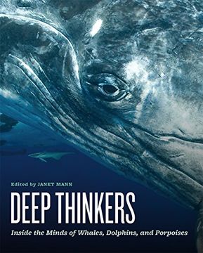portada Deep Thinkers: Inside the Minds of Whales, Dolphins, and Porpoises (en Inglés)