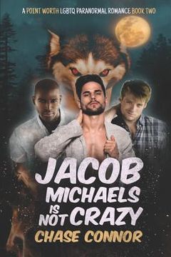 portada Jacob Michaels Is Not Crazy (A Point Worth LGBTQ Paranormal Romance Book 2) (en Inglés)