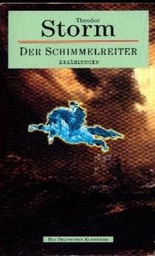 portada Der Schimmelreiter Erzaehlungen (in German)