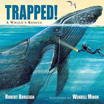 portada Trapped! A Whale's Rescue (in English)
