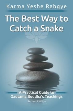 portada The Best way to Catch a Snake: A Practical Guide to Gautama Buddha'S Teachings (en Inglés)