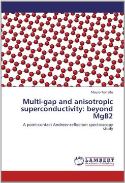 portada multi-gap and anisotropic superconductivity: beyond mgb2 (en Inglés)
