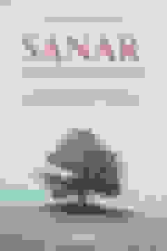 portada Sanar con Vidas Pasadas