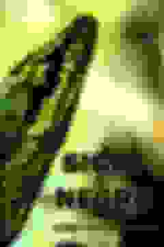 portada Siglo Negro