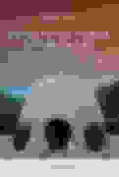 portada Cúpulas de Tierra Optimizadas