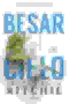 portada Besar el cielo (Hermanas Calloway 1)