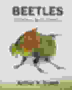 portada Beetles of Eastern North America (libro en Inglés)