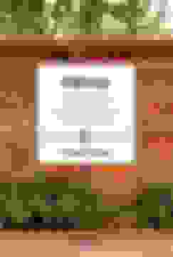 portada Olivos