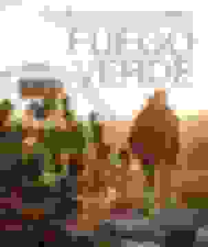 portada Fuego verde