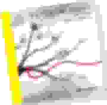 portada Una Tierra sin Mapas