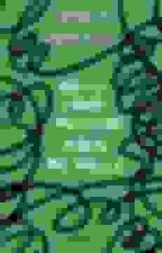 portada No sé Cómo Mostrar Donde me Duele