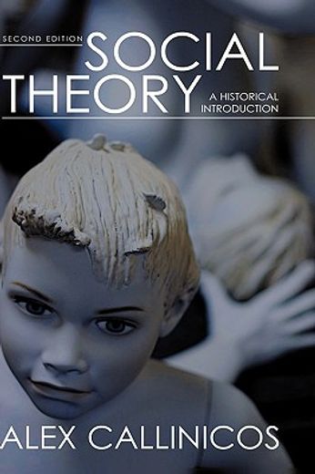 social theory,a historical introduction