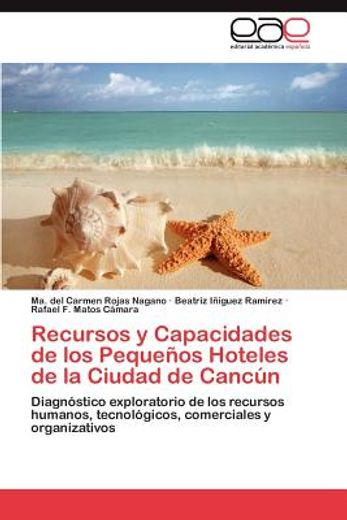 recursos y capacidades de los peque os hoteles de la ciudad de canc n (in Spanish)