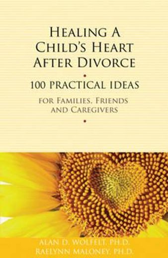 healing a child`s heart after divorce,100 practical ideas for families, friends, and caregivers